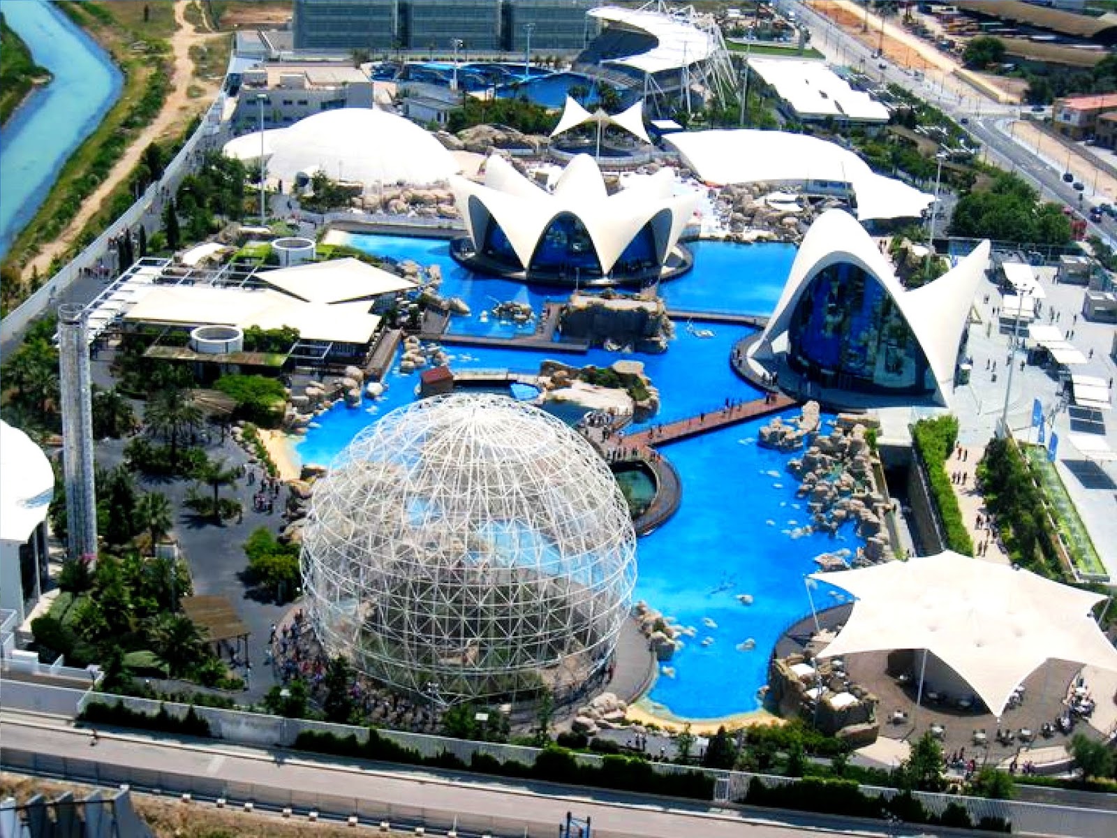 Oceanografic Saturday Erasmus Mundo