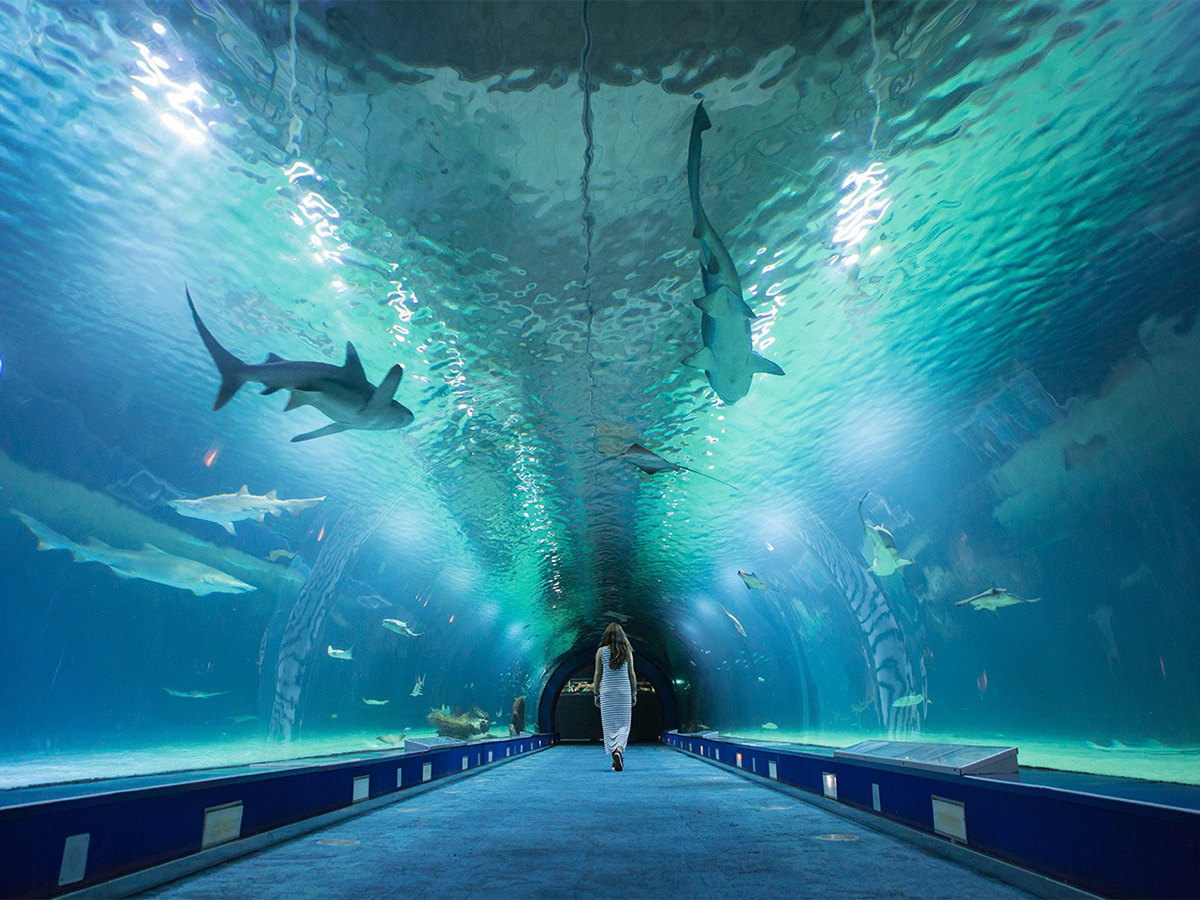 oceanografic